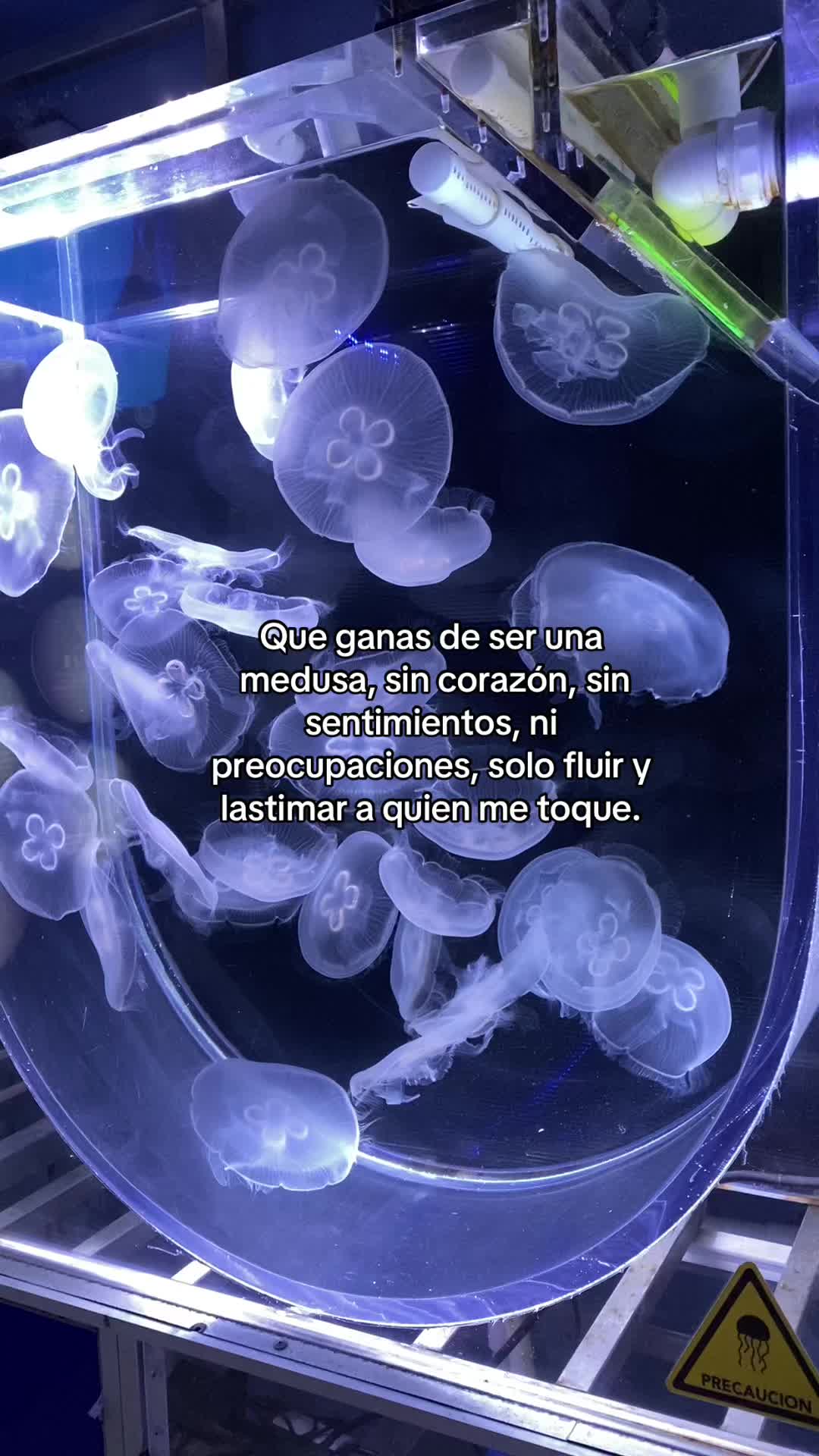 @𝙰L𝙴X𝙰