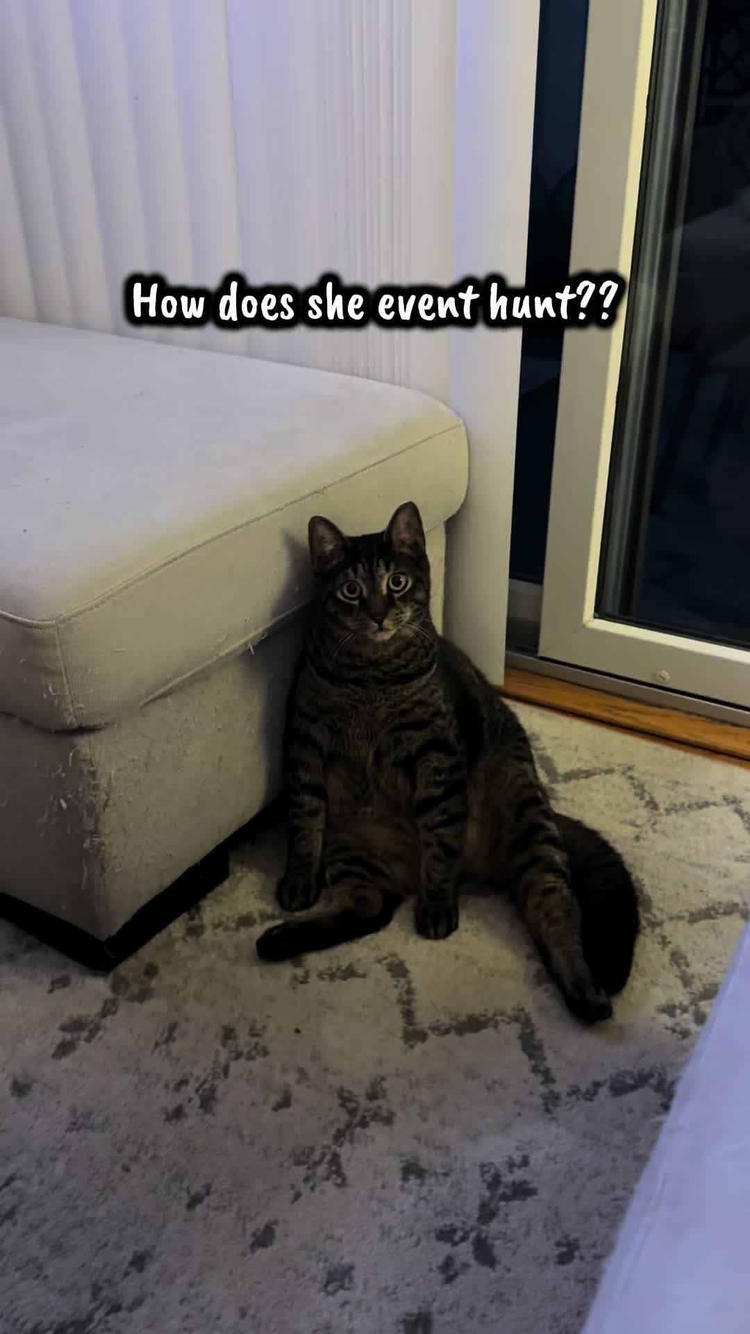 @TailsandWhiskersCo