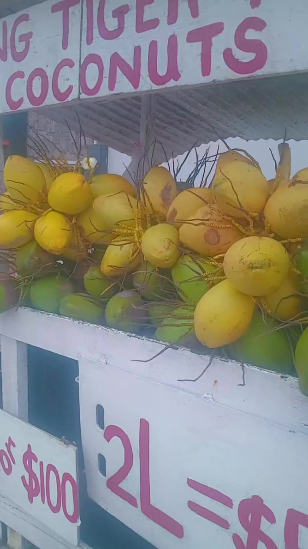 @Young Tiger Cold Coconuts🥥🌴
