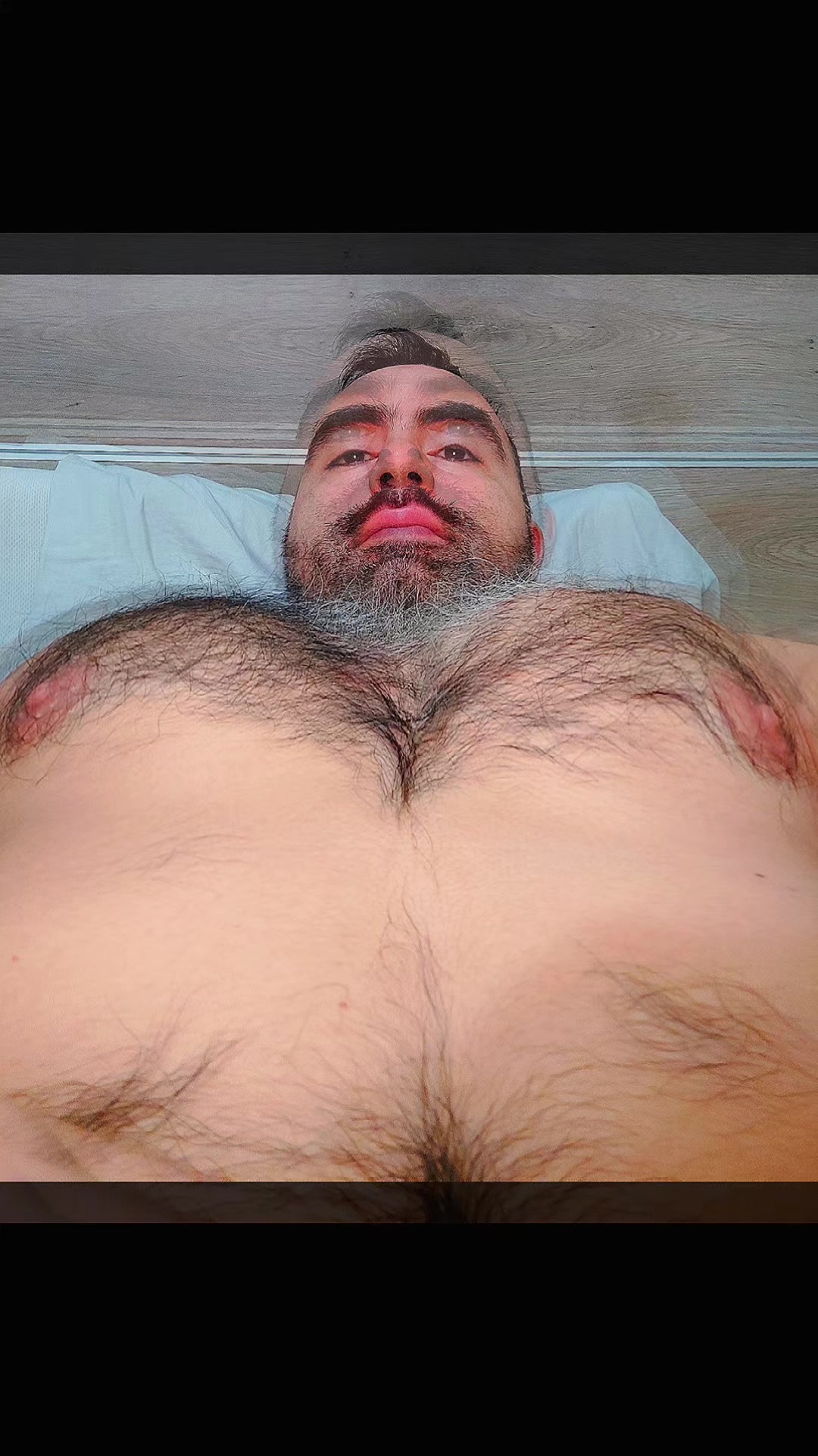 @arielf86