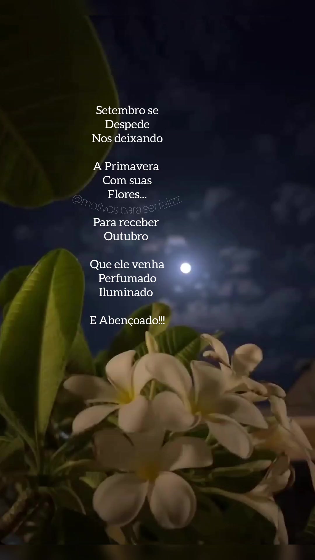 @Motivos para ser feliz