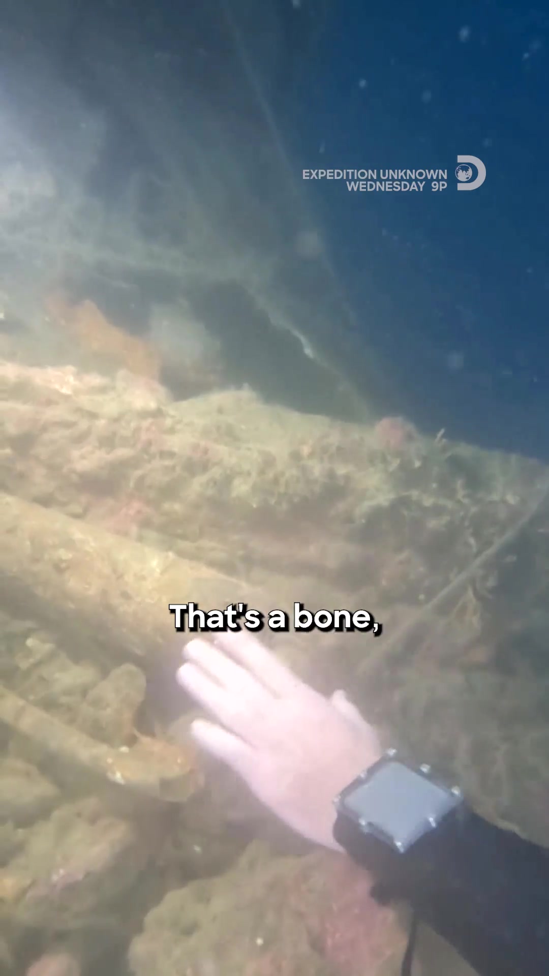 @Discovery