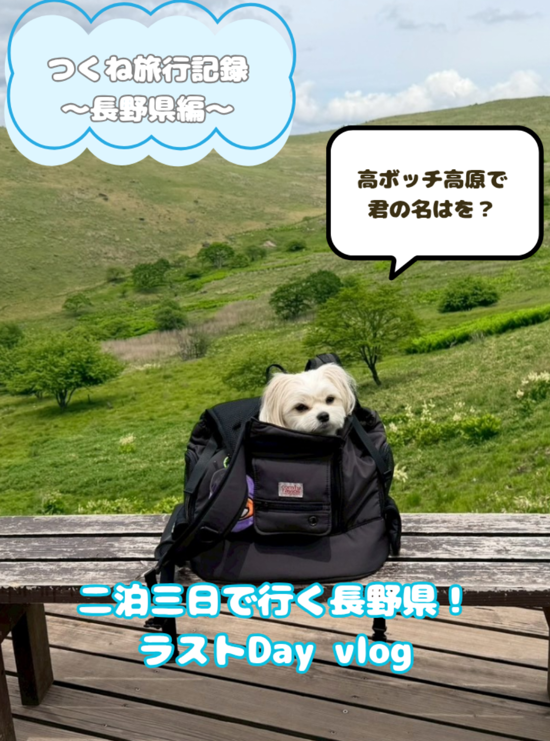 @つくねくん
