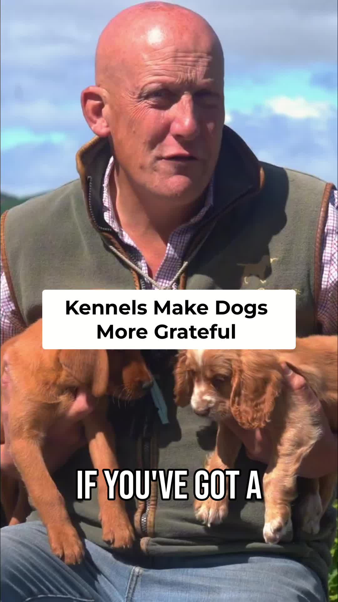 @Mordor Gundogs