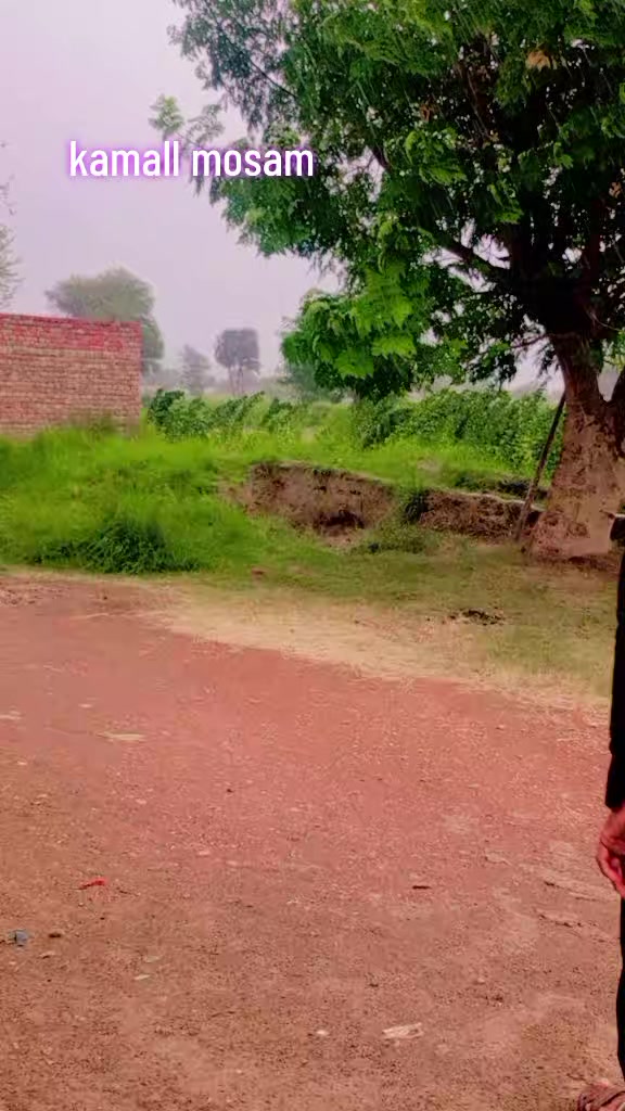 @Dilawar bhatti