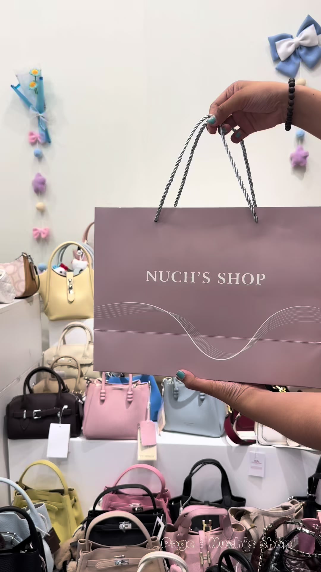 @Sn Bags