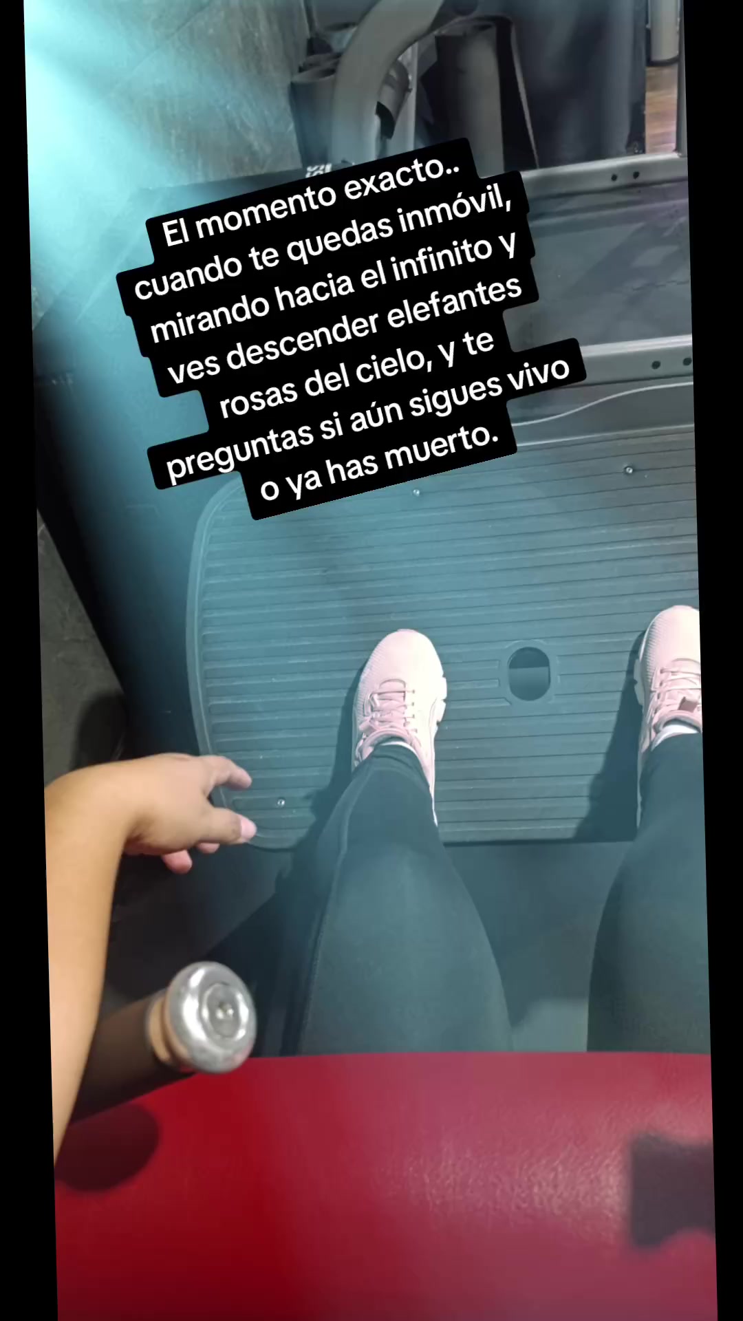 @M Y A🍓