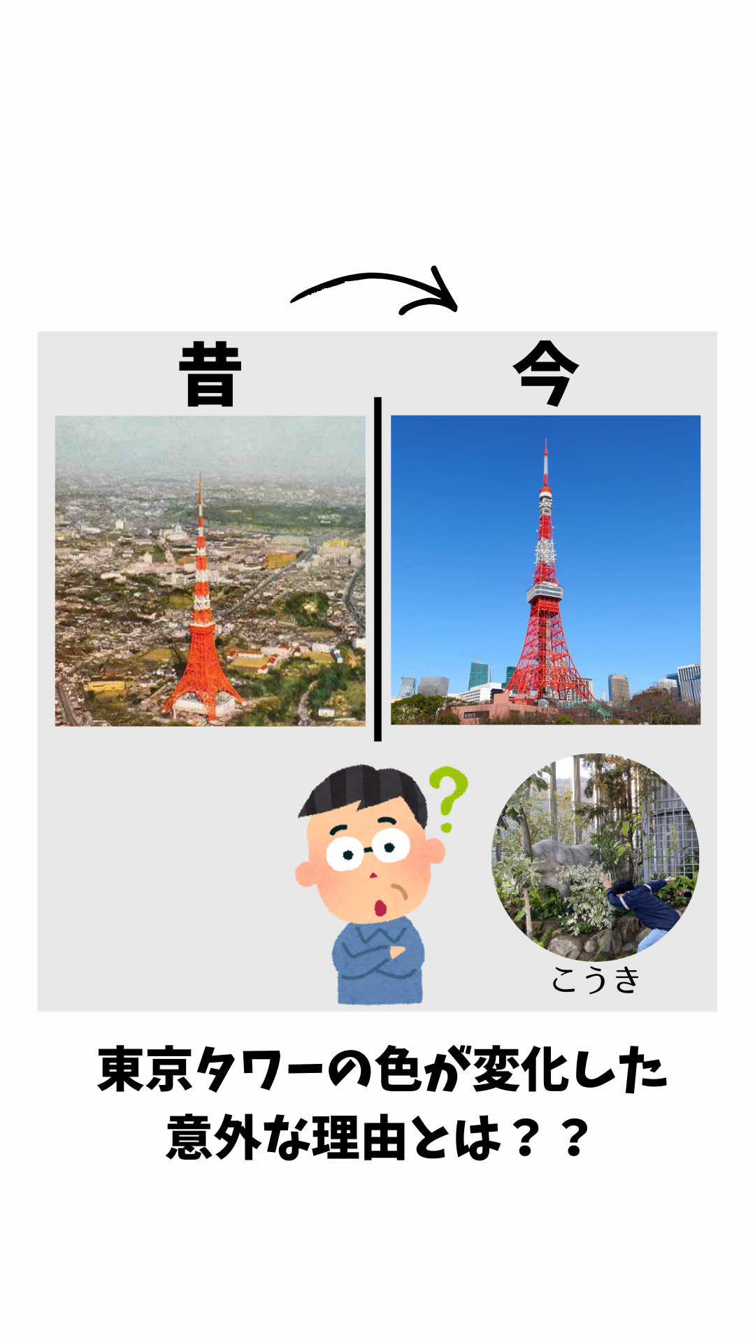 @TONKAN - tokyo