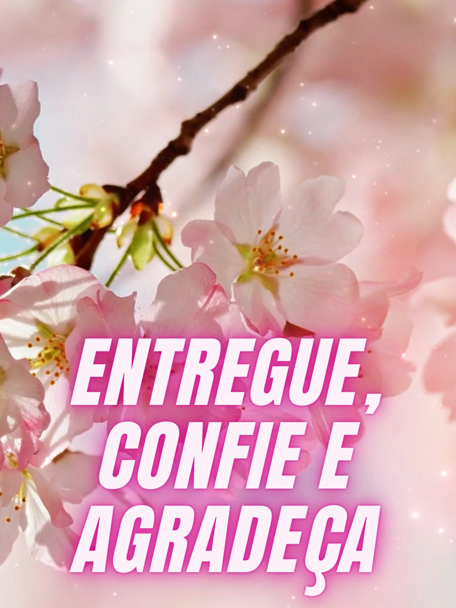 @Atraia Sucesso