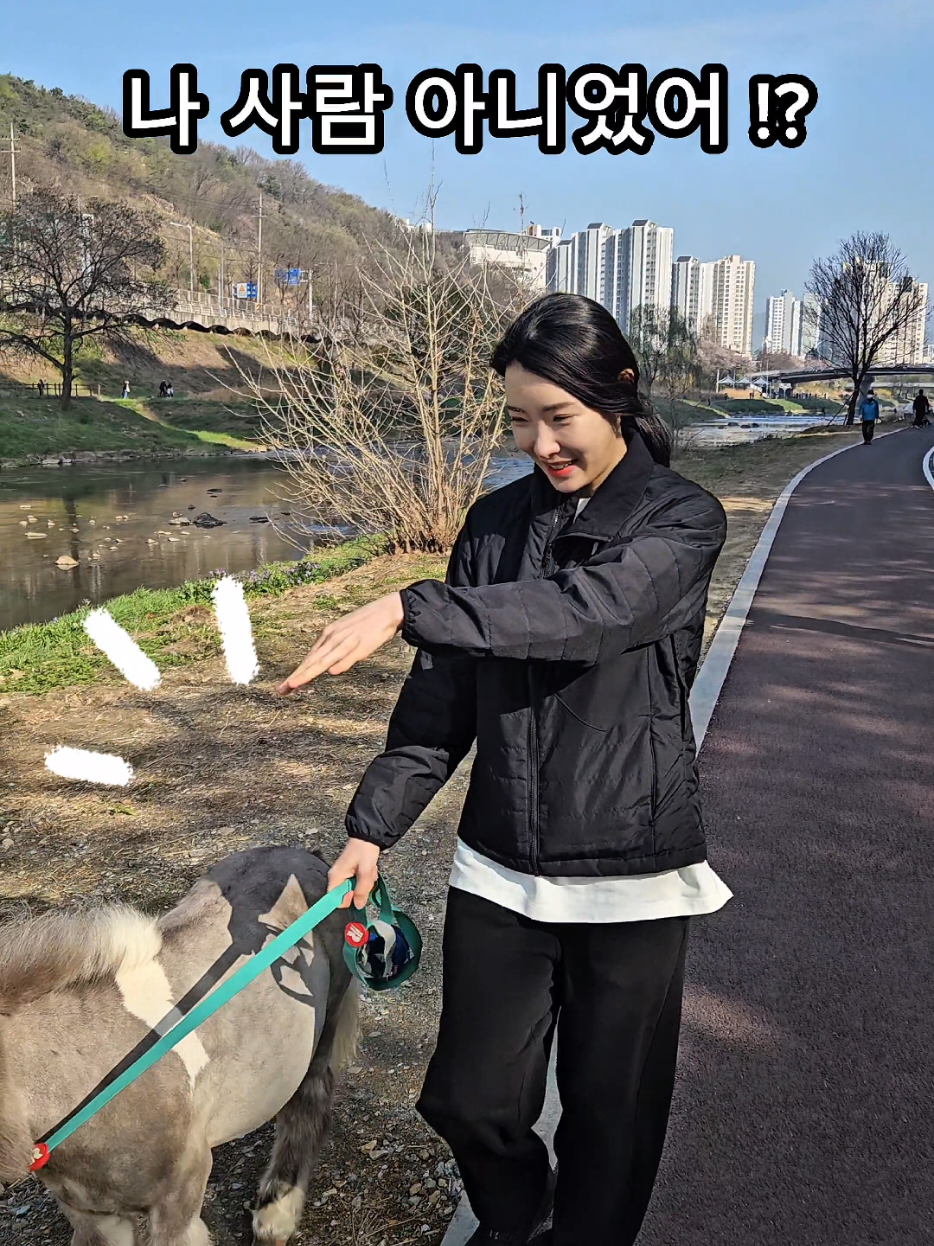@작은말월리 | 월리플랍🦄
