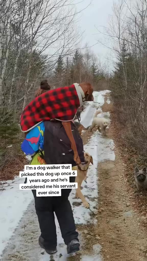 @brianne & your dog probably