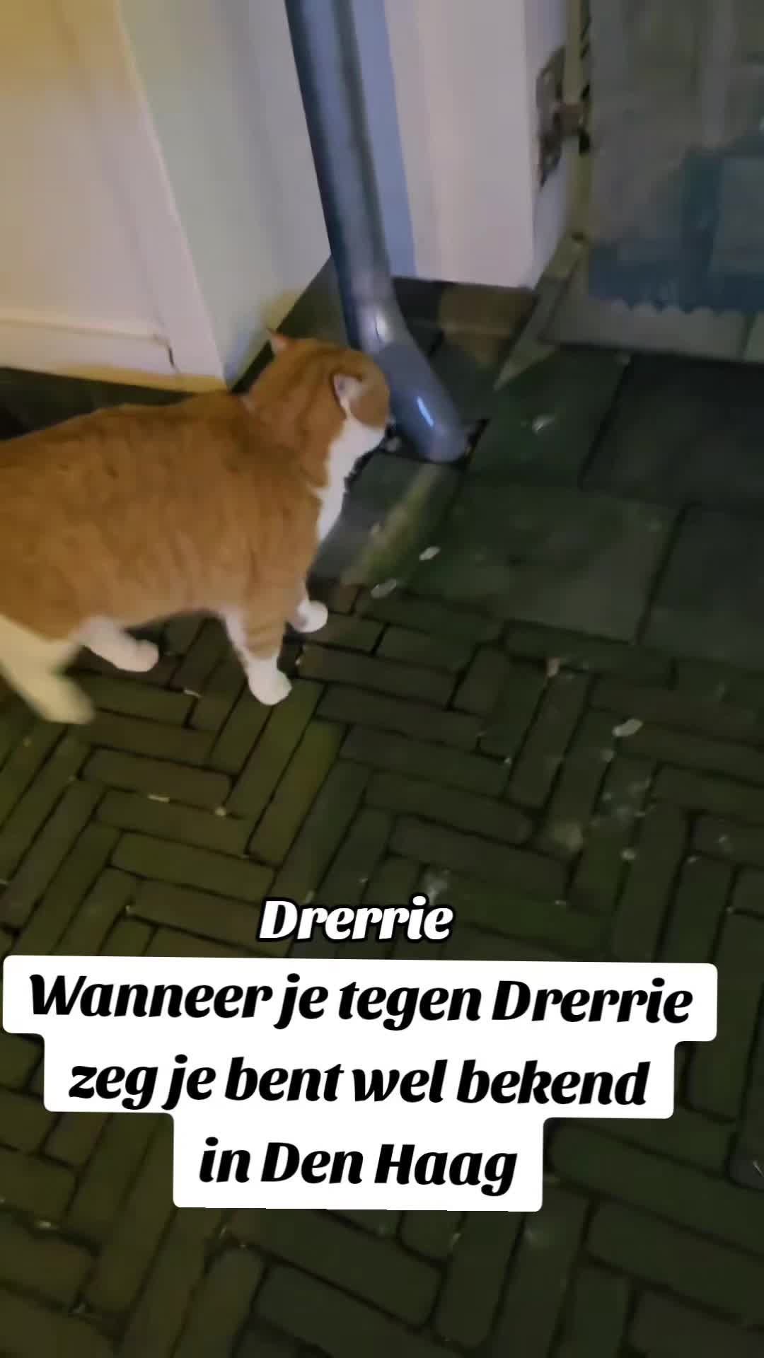 @Zey_motivation