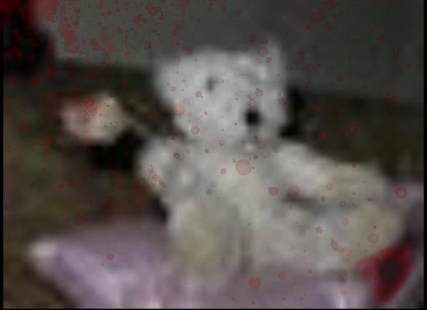 @meow