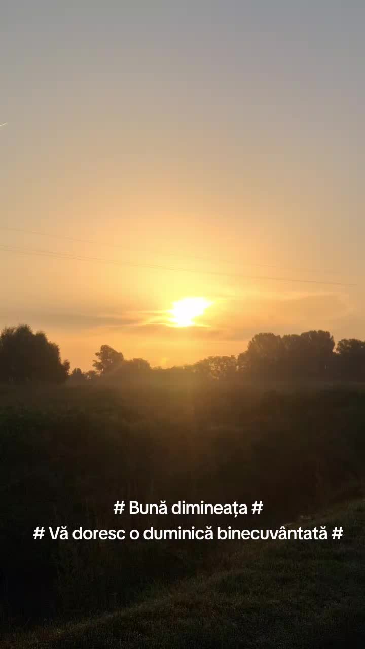 @danut75