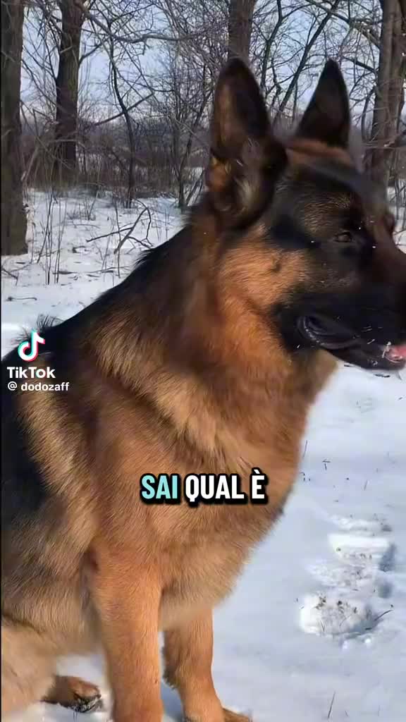 @lucry