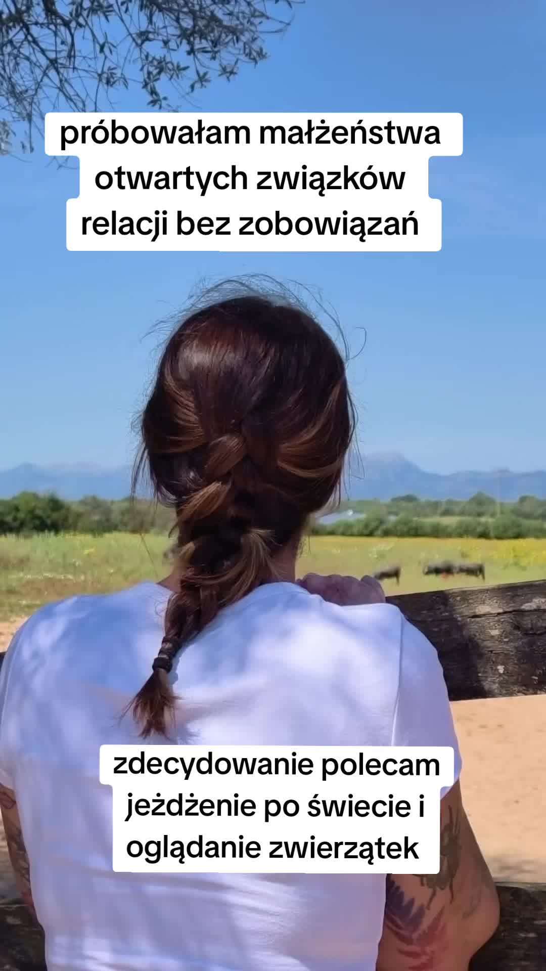 @Czihuahua