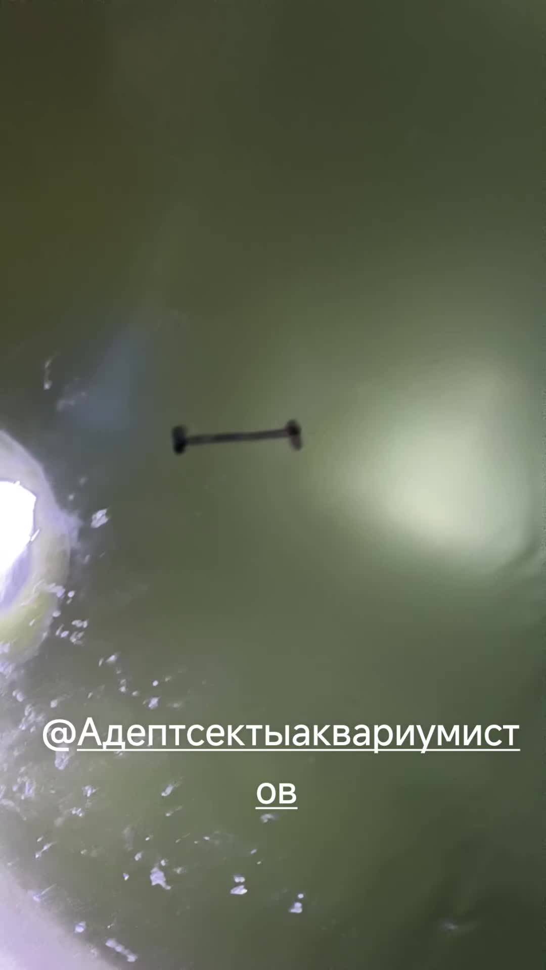 @Женя Садовая