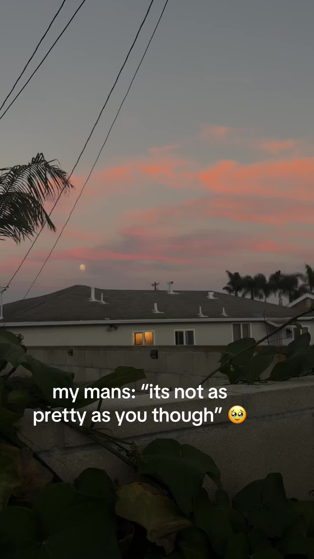 @dani