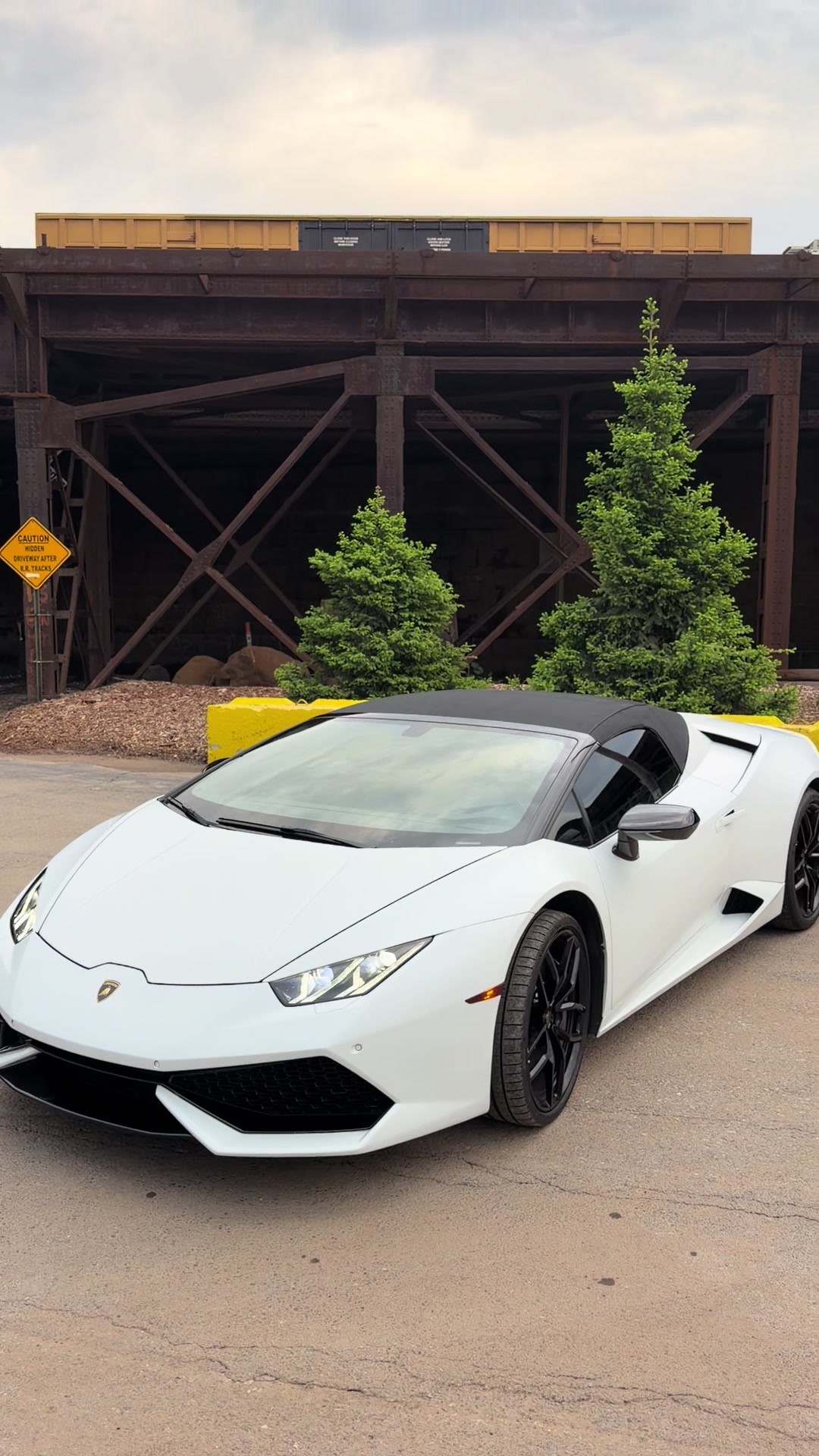@Champexotics