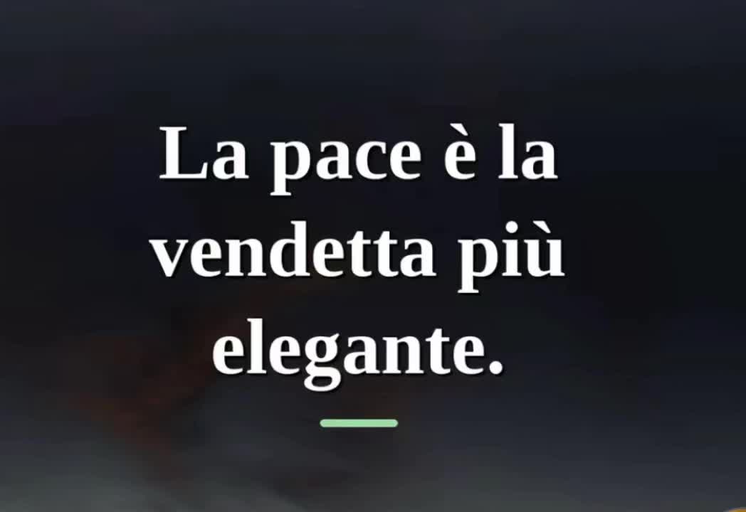@brunopizzarelli2455