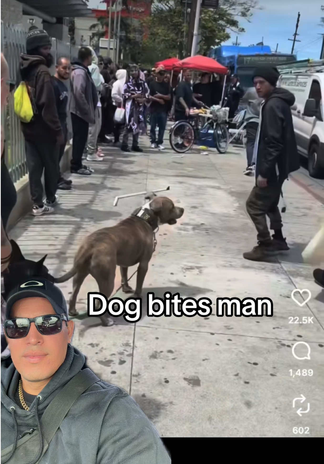 @🪶TheN8tiveDogfather🐾