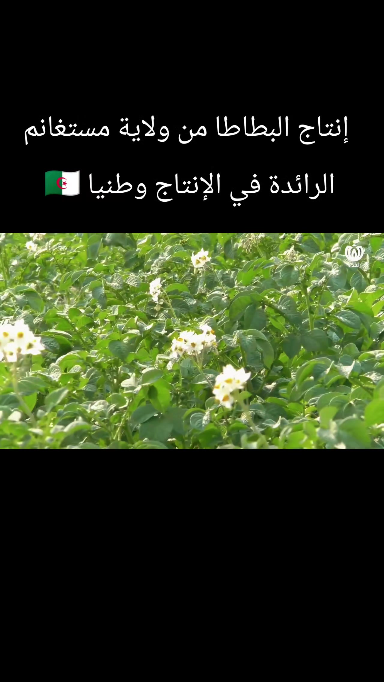 @الفلاحة في مسيلة