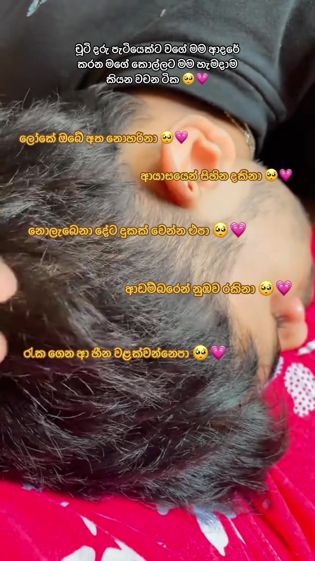 @Vidu~🐷💖💍