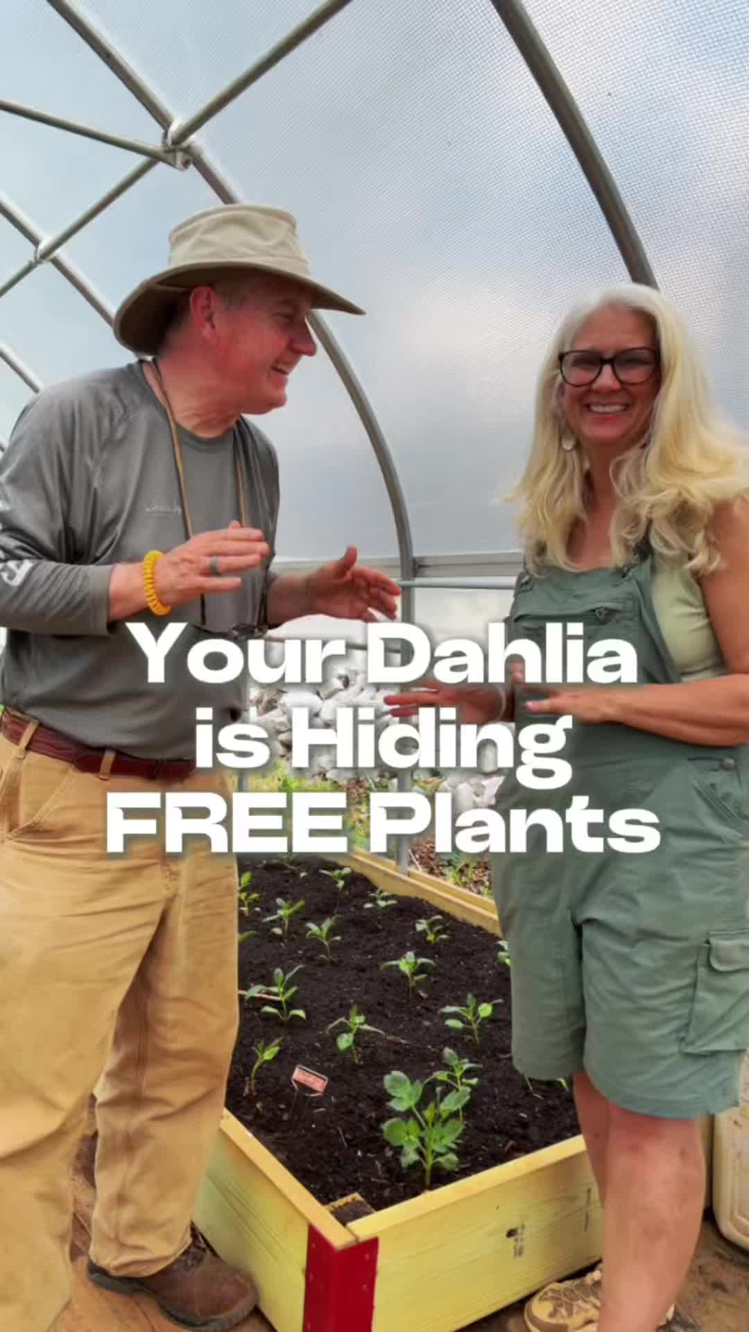 @Sweet BombDiggity Farms