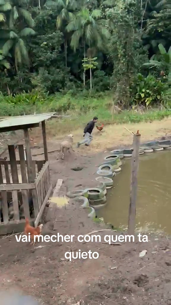@kabeça