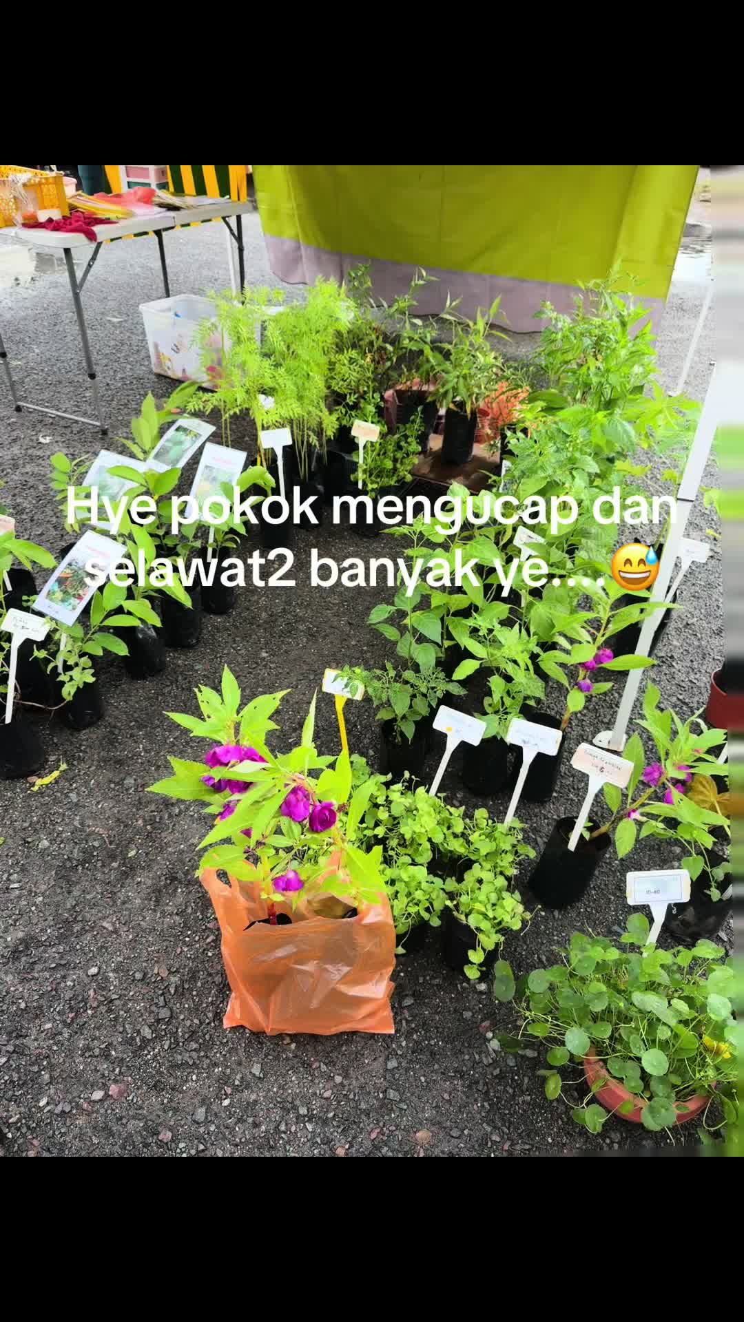 @nur_zyrakad