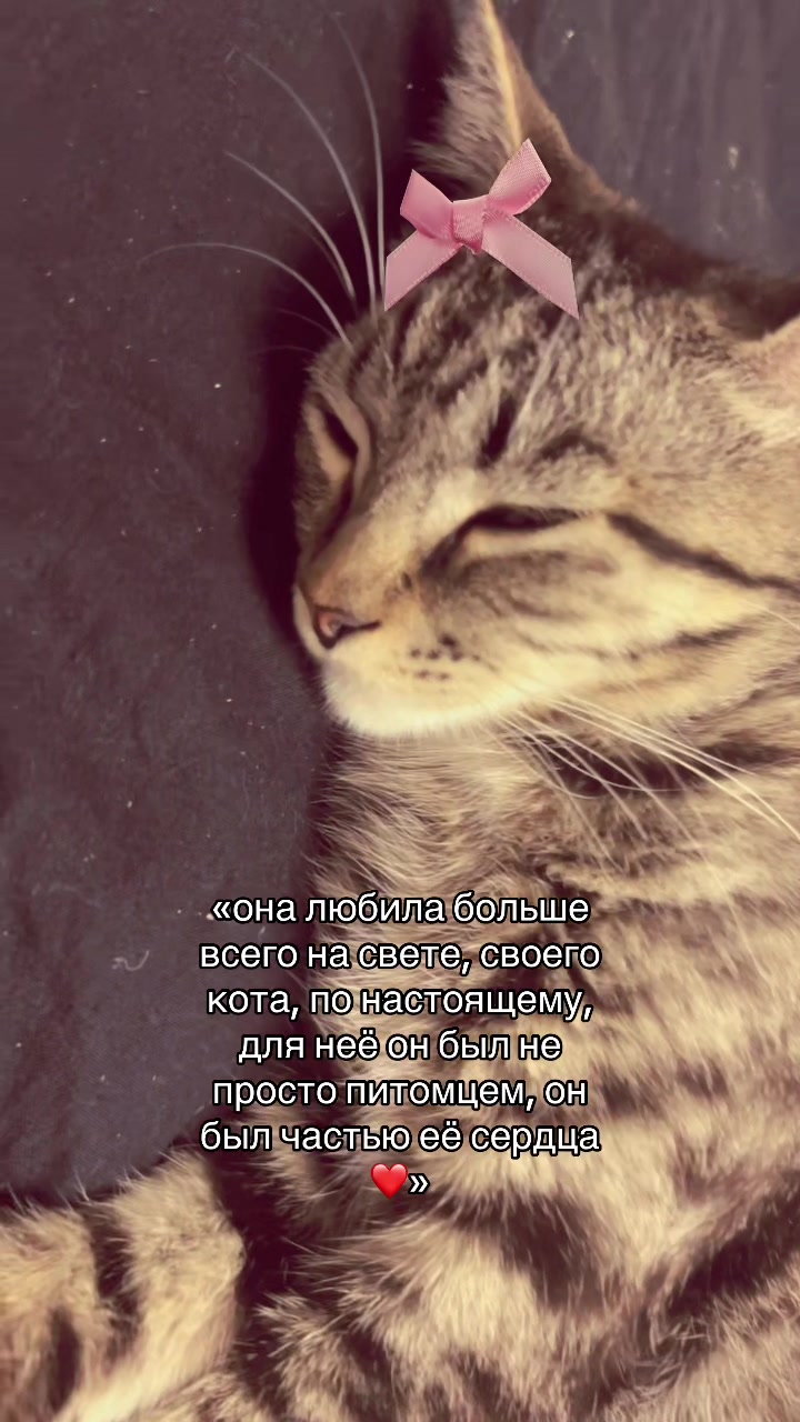 @𝓜𝓪𝓻𝓲𝓷𝓪💍