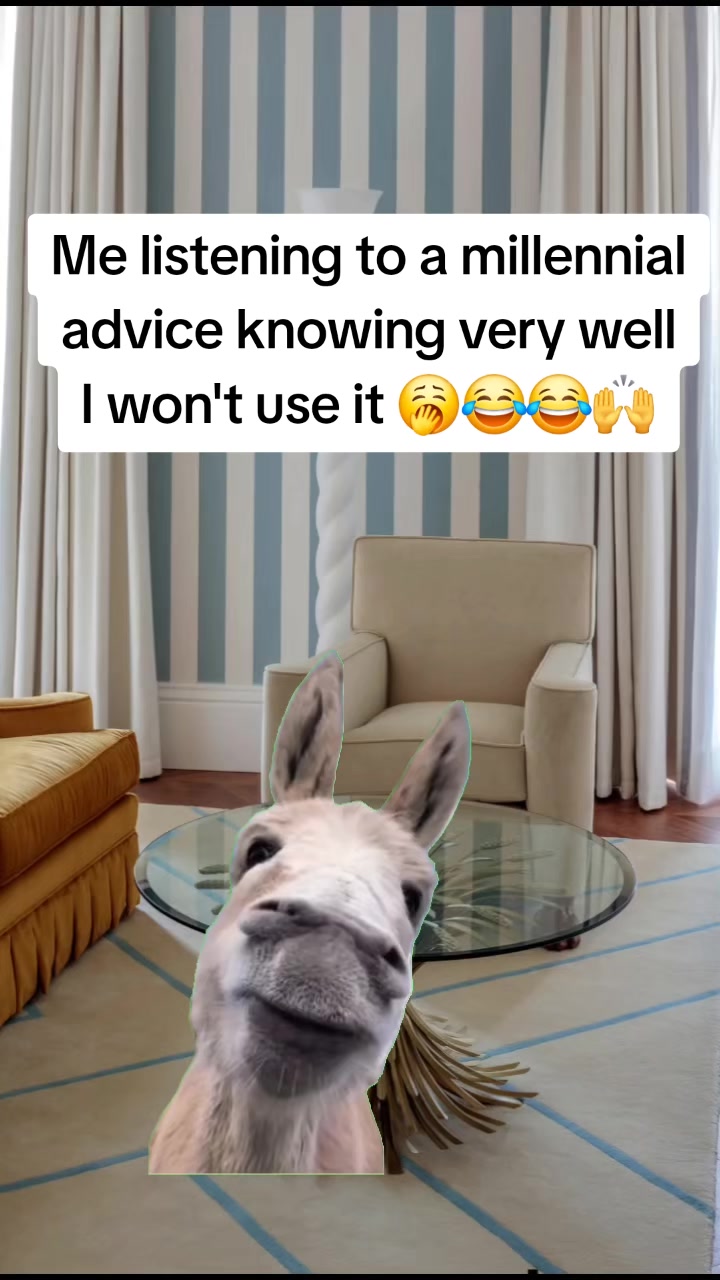 @Miss Vibez ๐ค๐๐