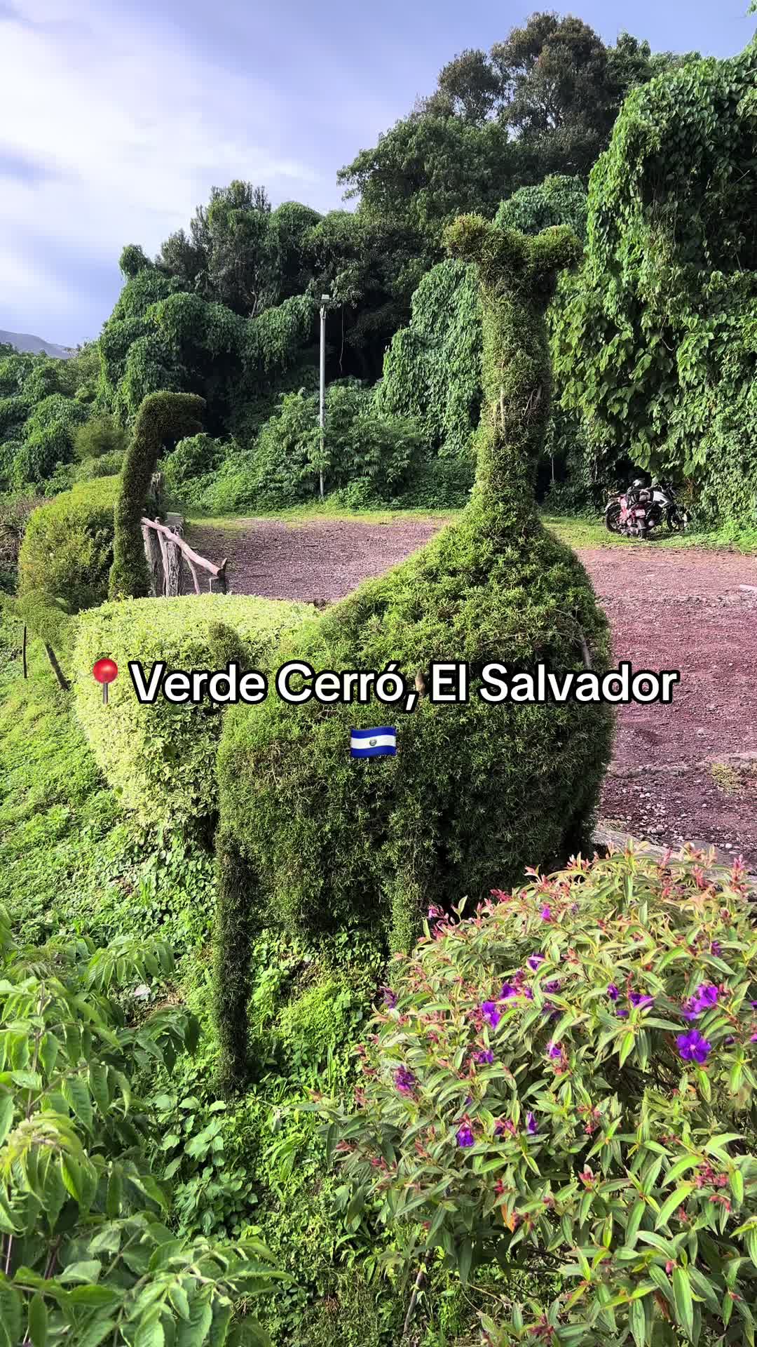 @InternationalTravelShorts