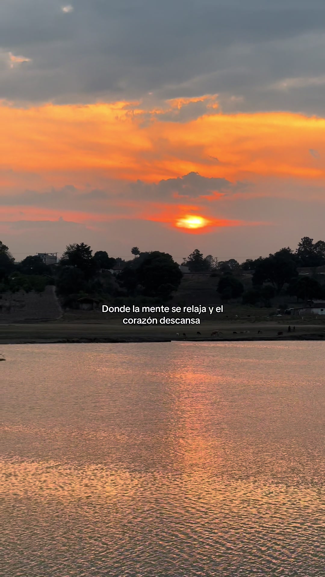 @Carmen Sucuqu&iacute;