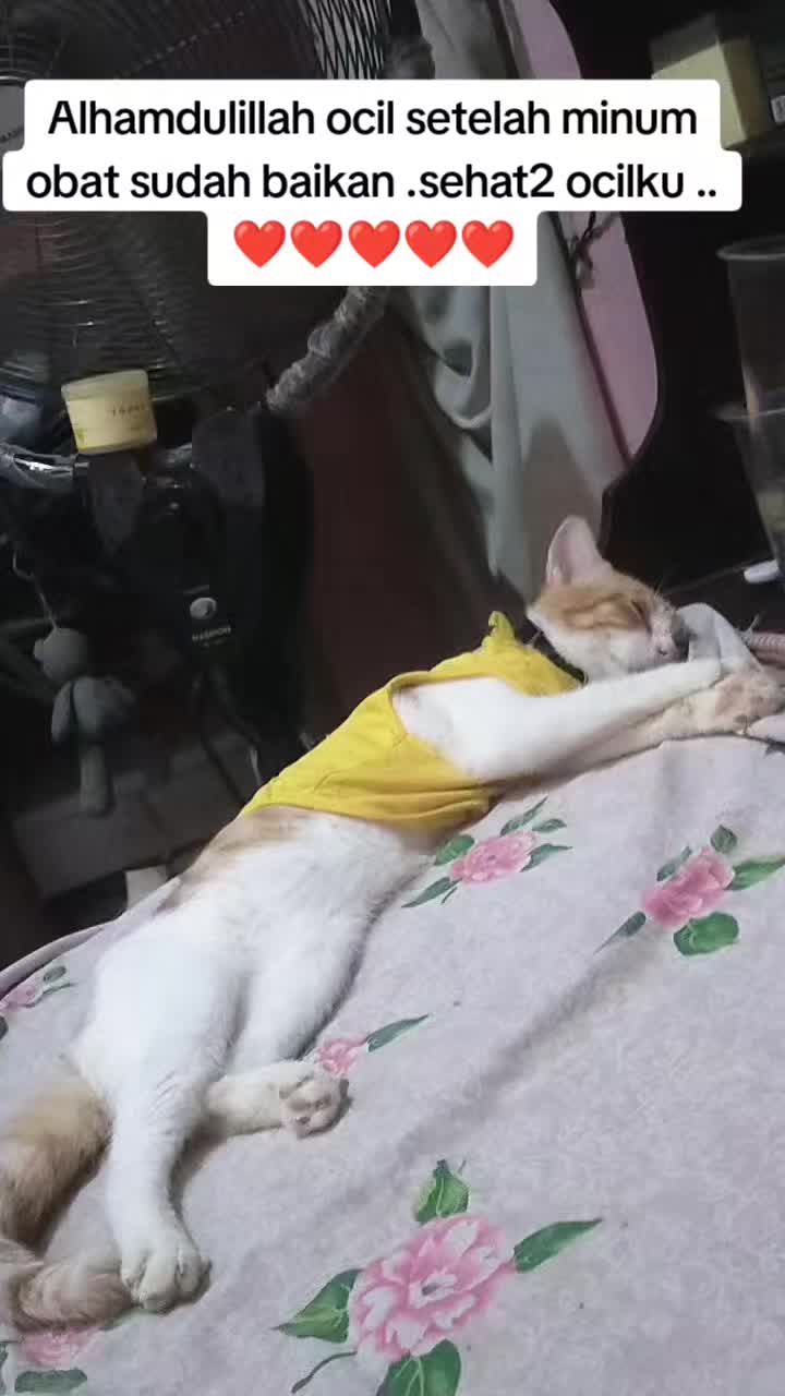 @Faiznya defvi