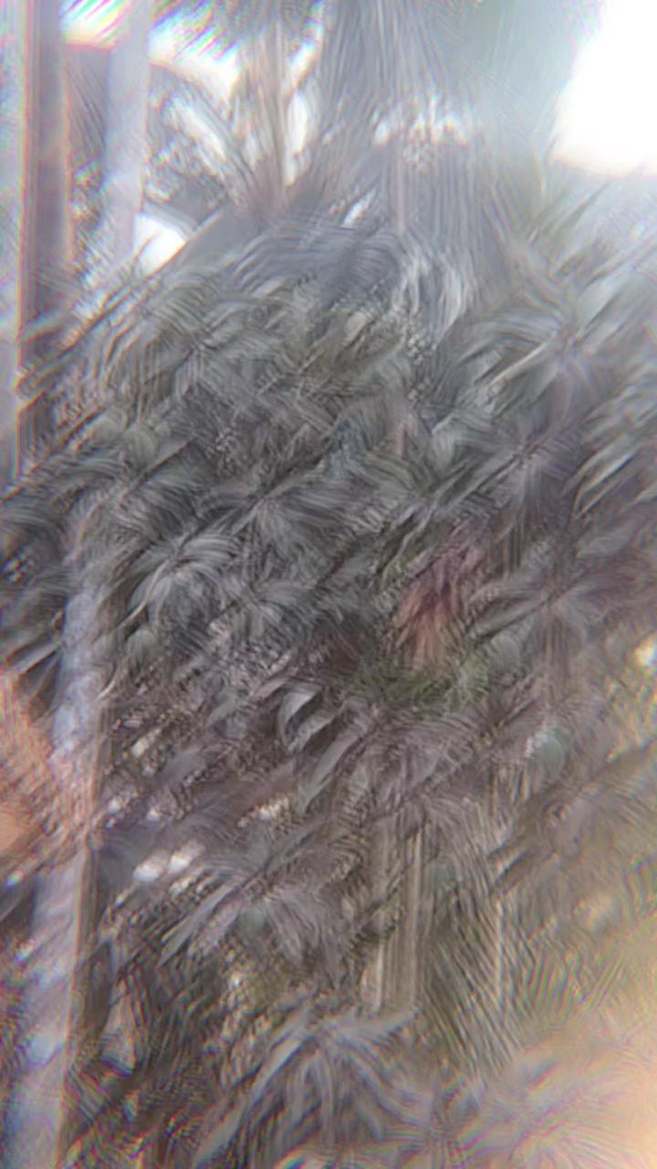 @ভদ্র ছেলে মাহাদি