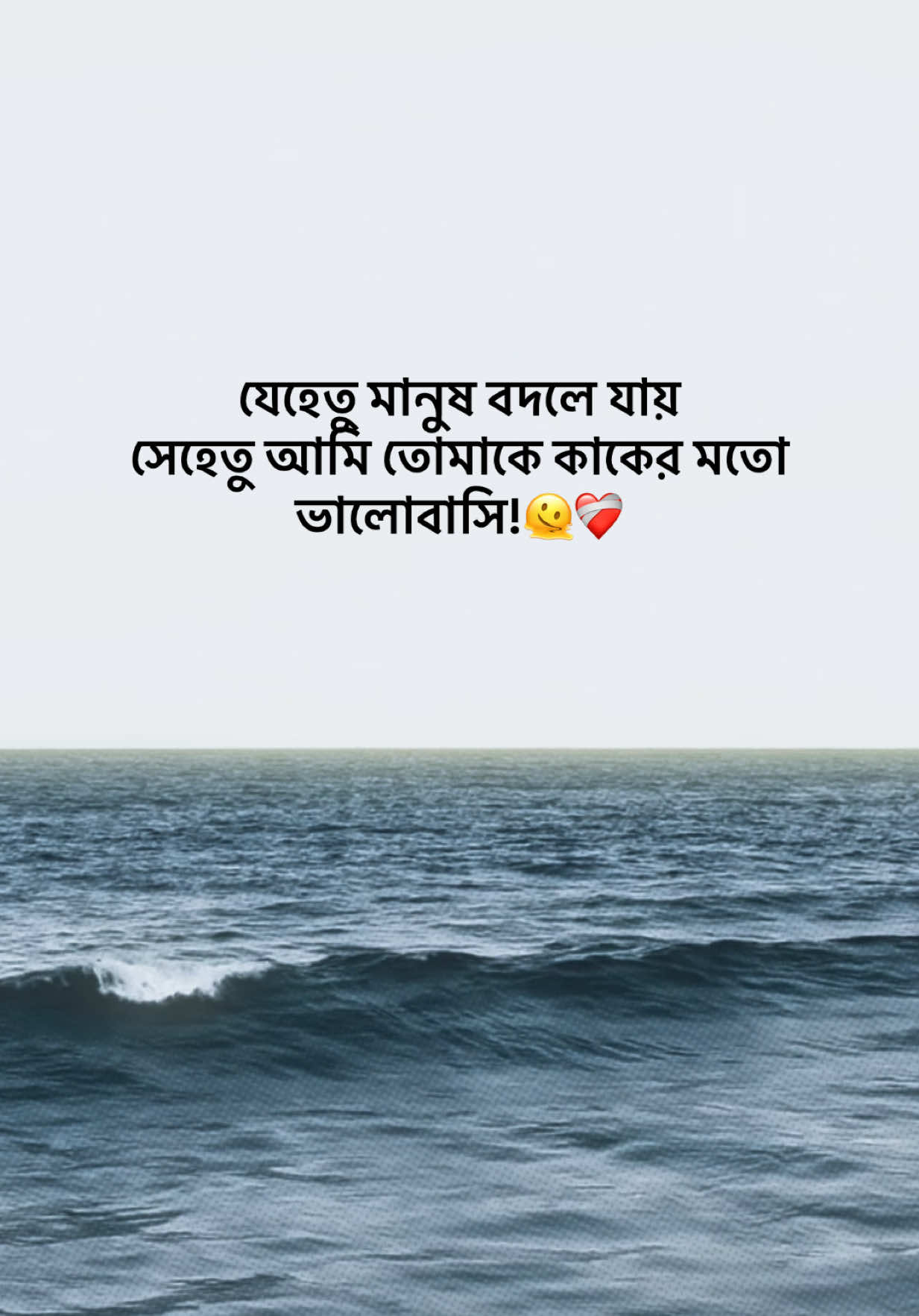 @आईएएन ┊🐥