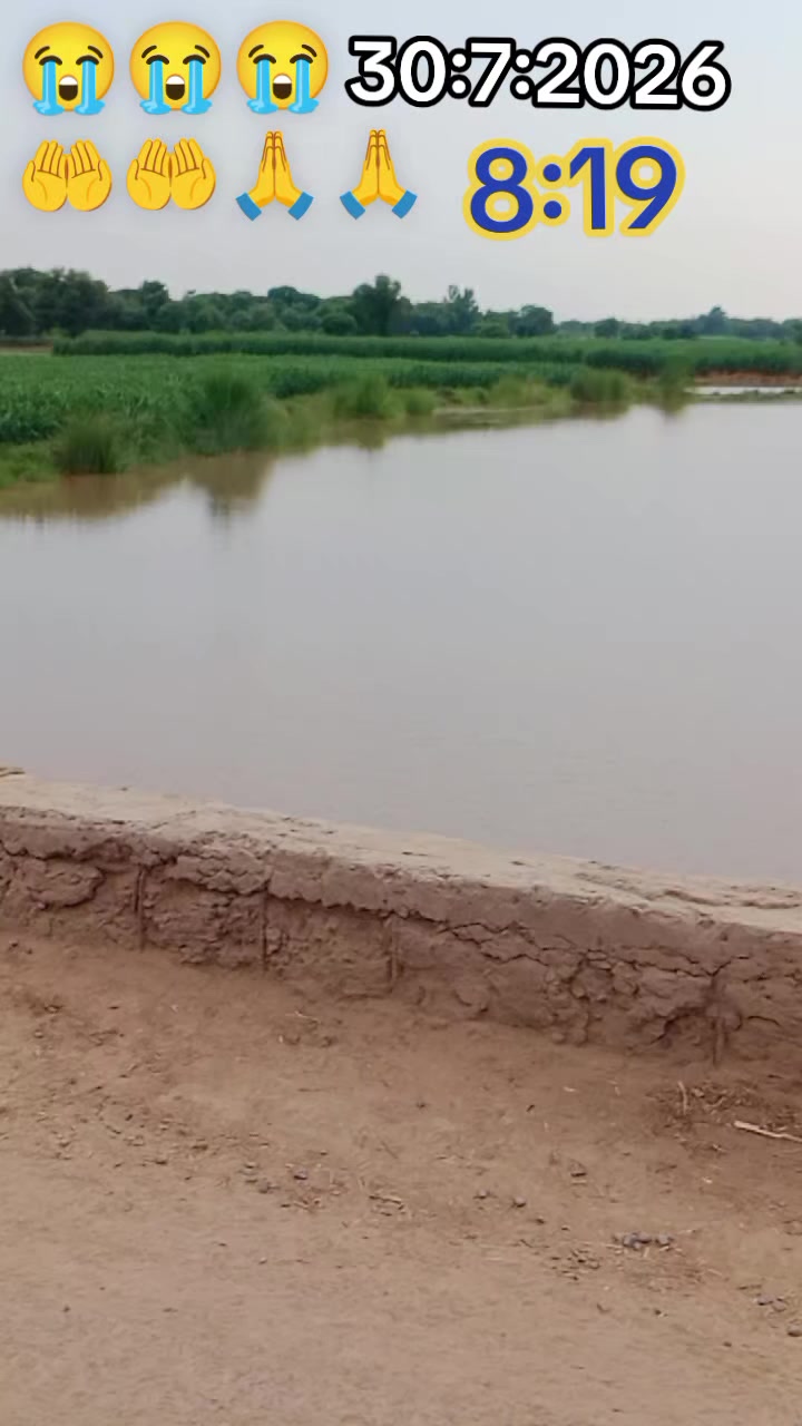 @Rauf Panwar