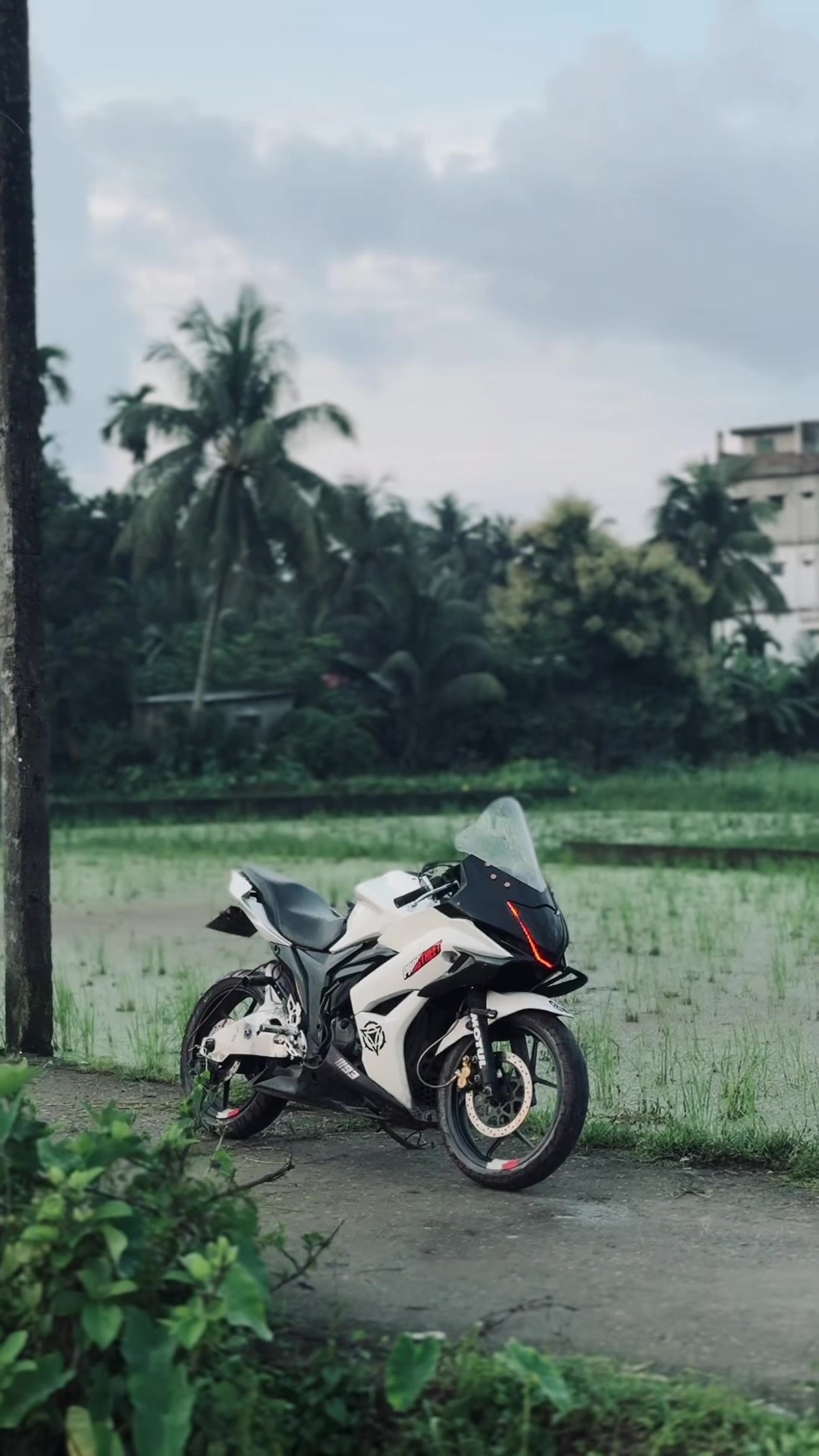 @ALAMIN BHAI 🚀