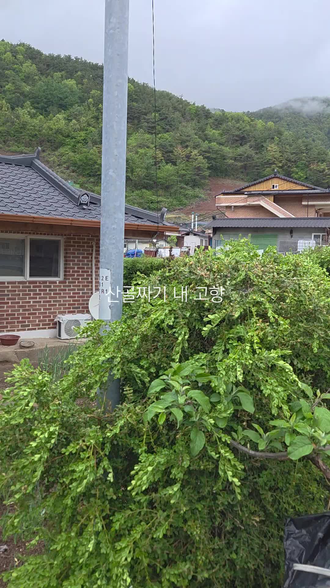 @성찬조