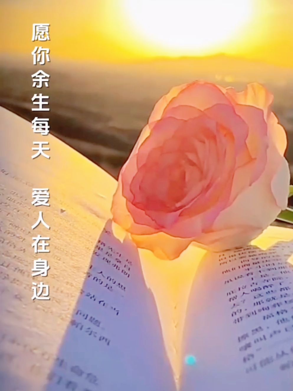 @妖狐