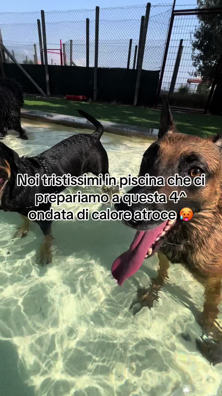 @Apacktale