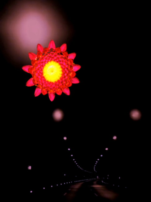 @rhym lyrics