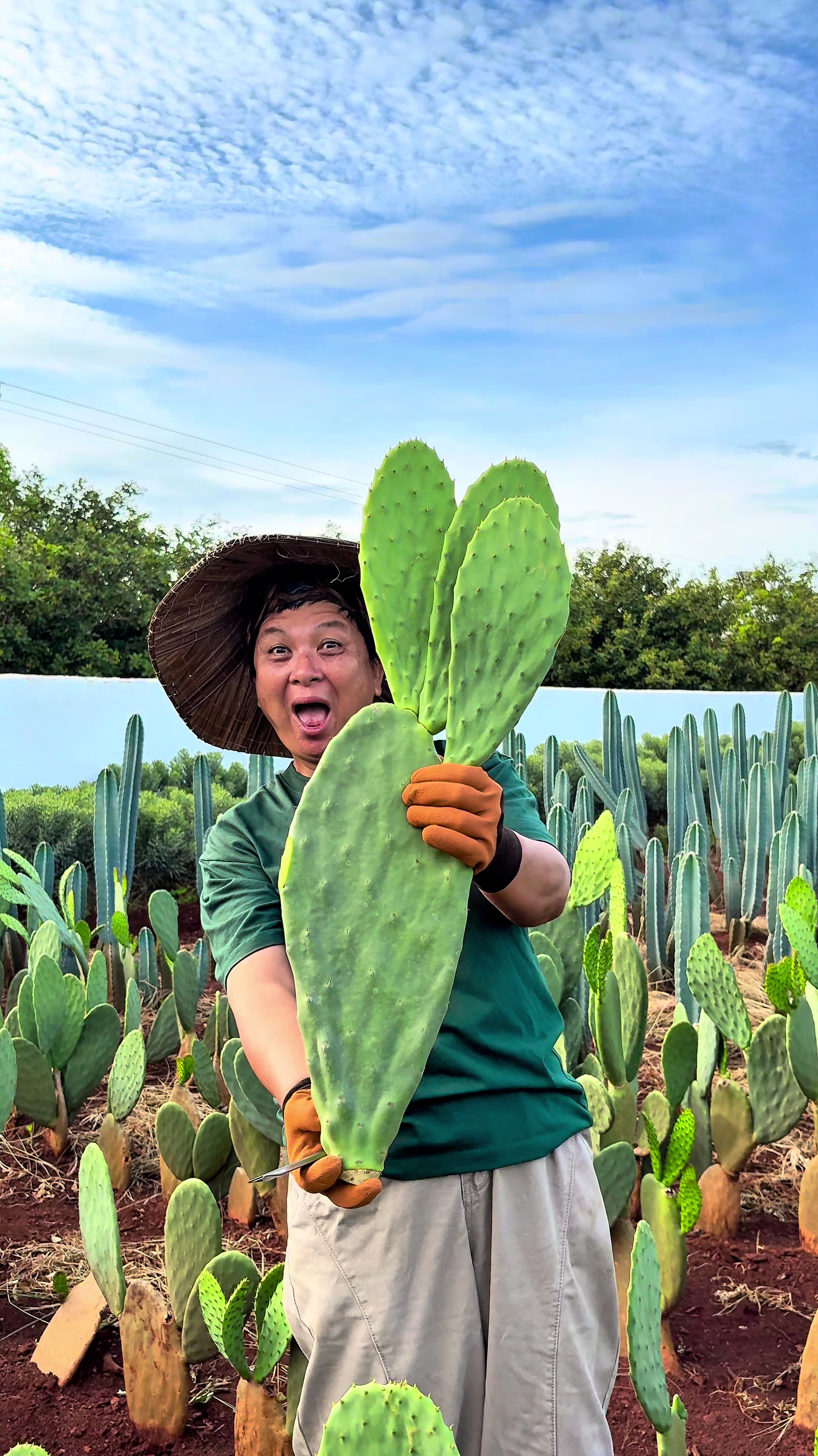 @ไร่วันยังขำ Oneyoungkham farm
