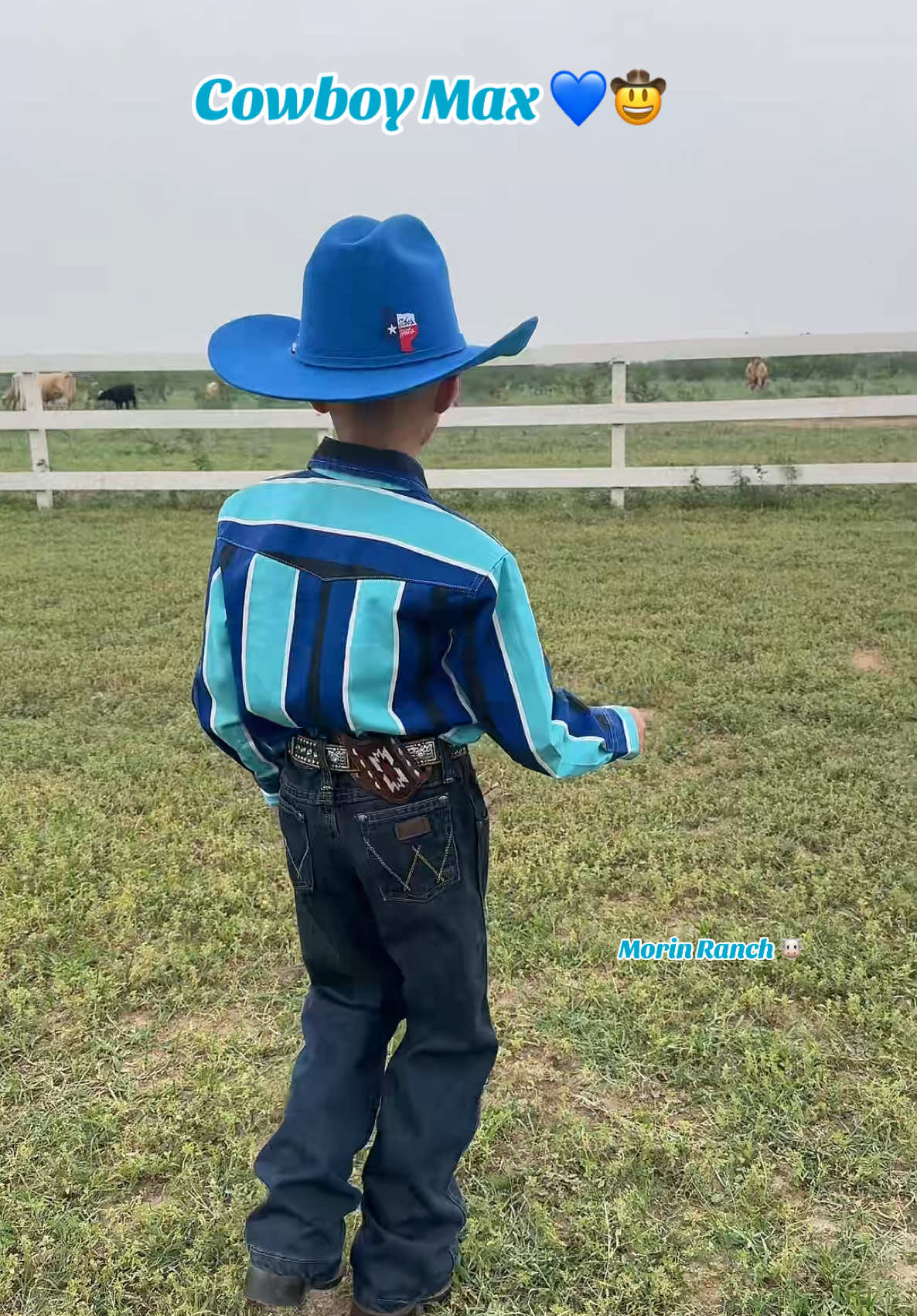 @Morin Ranch