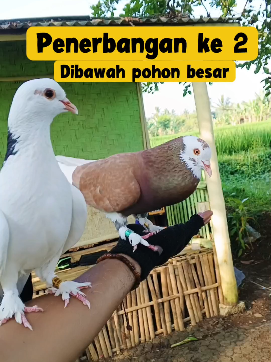 @BANG LEYON
