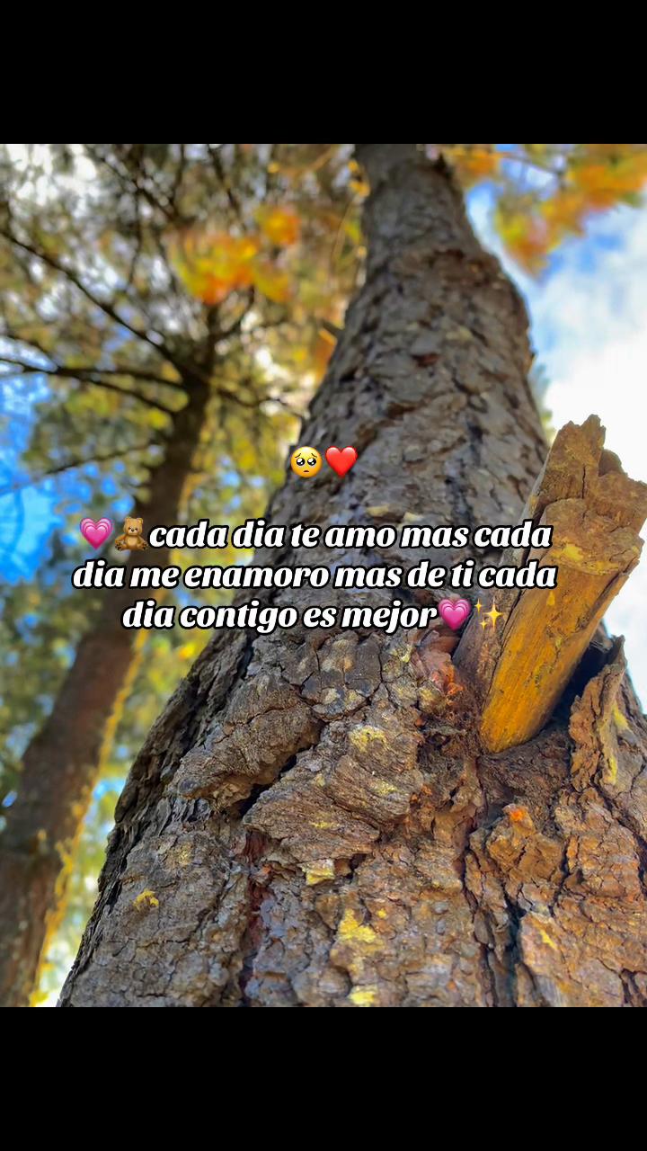 @B❤️&zwj;🩹🫶🏻FRASES✨😍&Scaron;