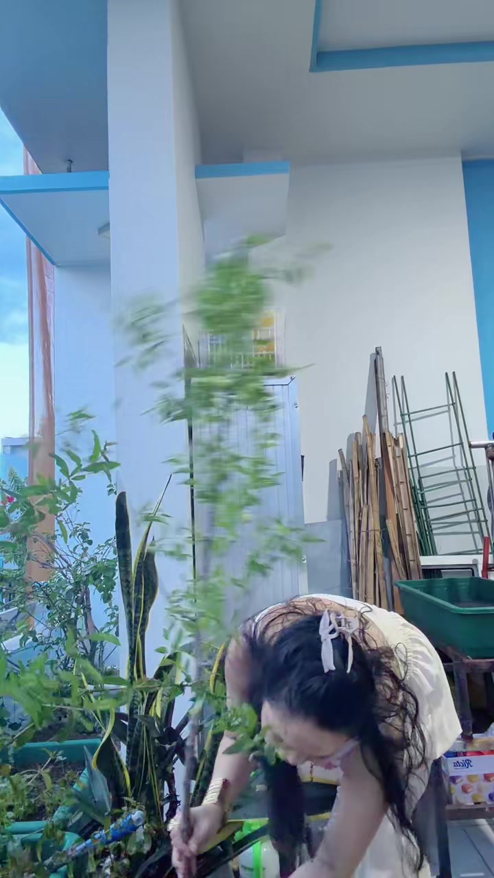 @CỎ MAY