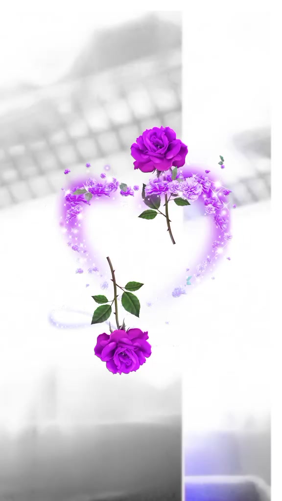 @rumiyaa2030@gmail.com