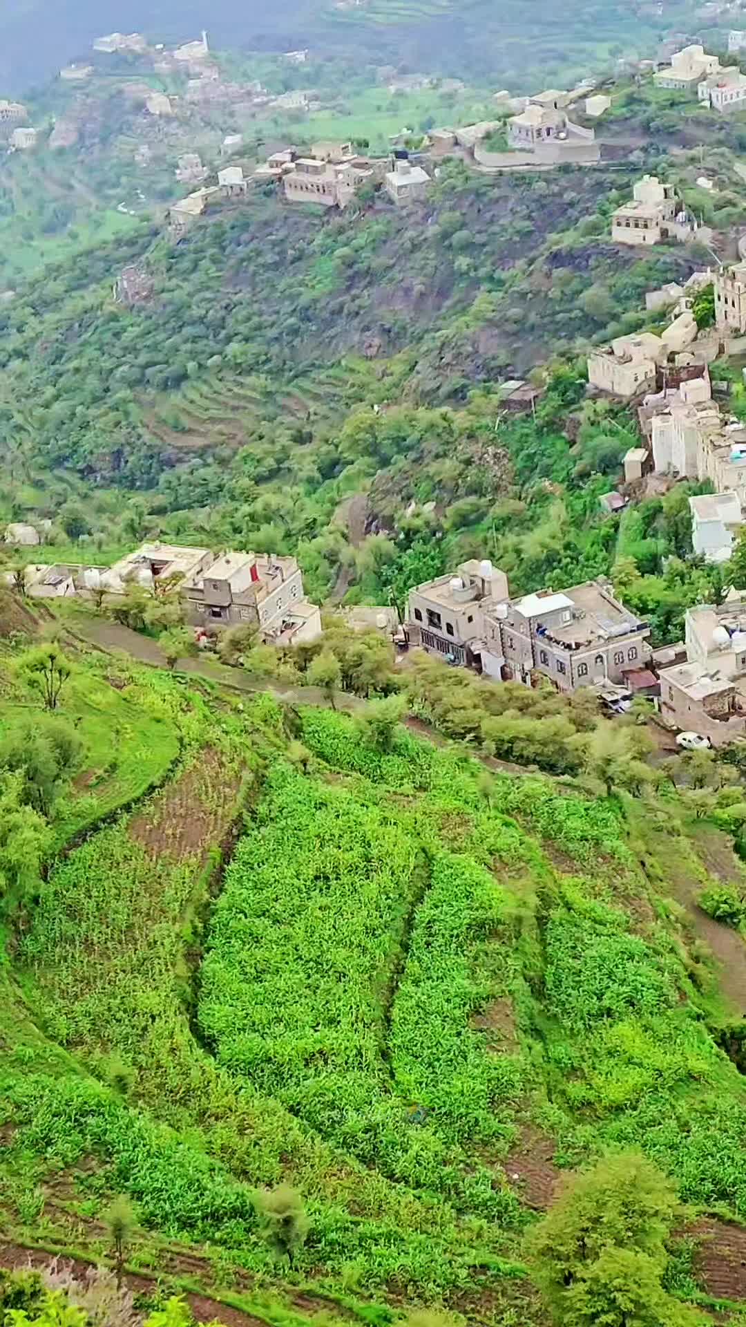 @آلُـِـِِـِِِـِِـِـﮩتـٌـٌٌـآر🌚